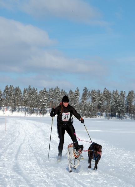 You have reached the last slide