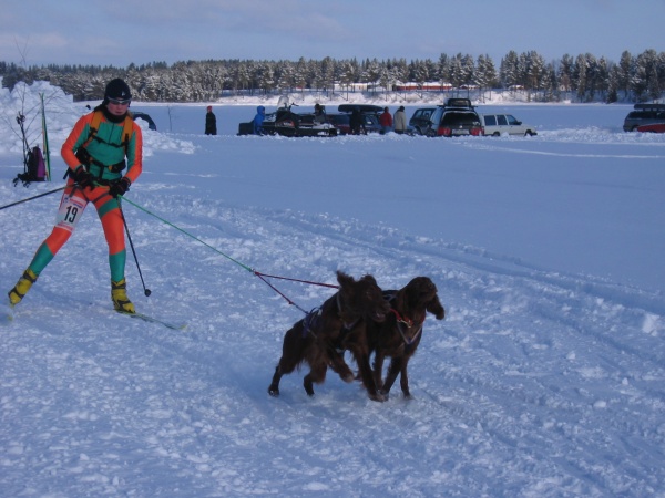 You have reached the last slide