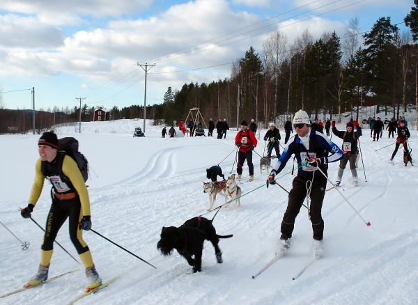 You have reached the last slide