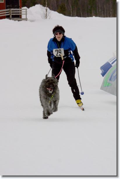 Du har n�tt sista bilden