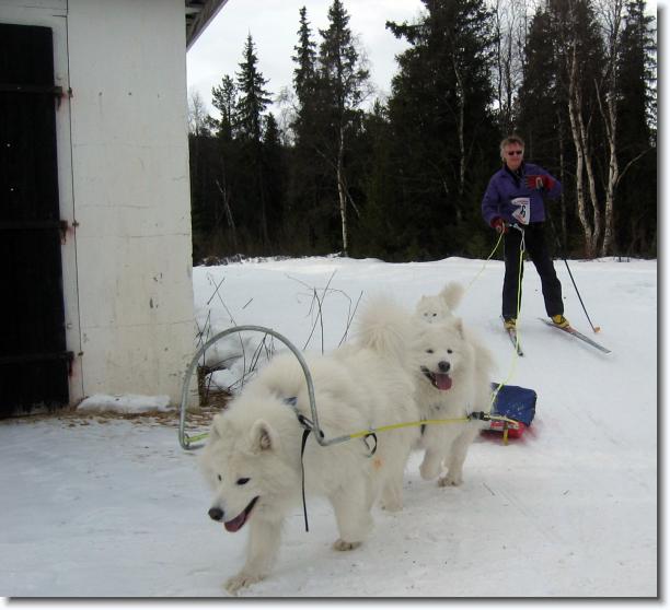 Du har n�tt sista bilden