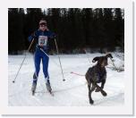 IMG_5546-mod * 1528 x 1304 * (1.14MB)