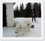 IMG_5559-mod * 1580 x 1440 * (1.33MB)