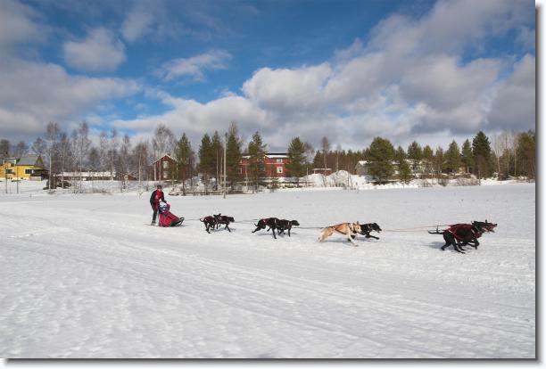 Du har n�tt sista bilden