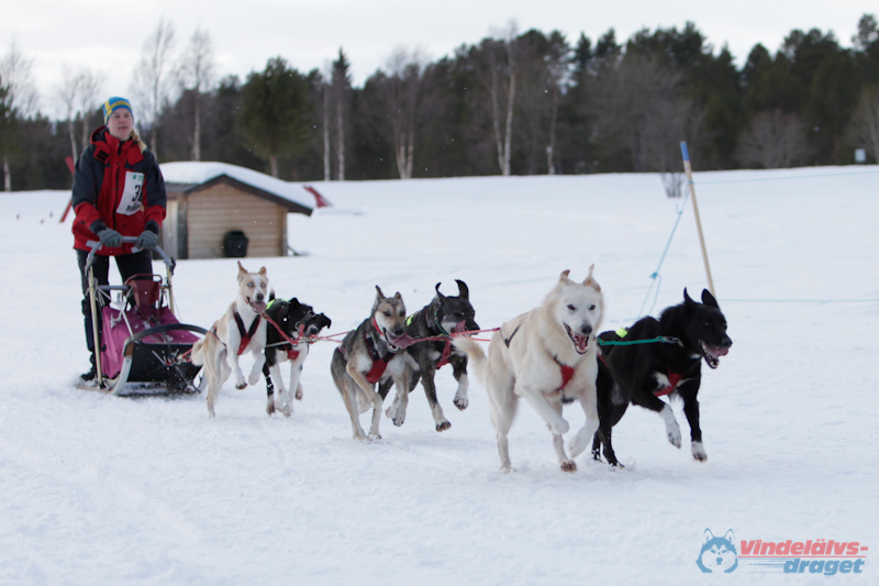 Joakim Blomkvist  2012-03-15_15-29-51.jpg