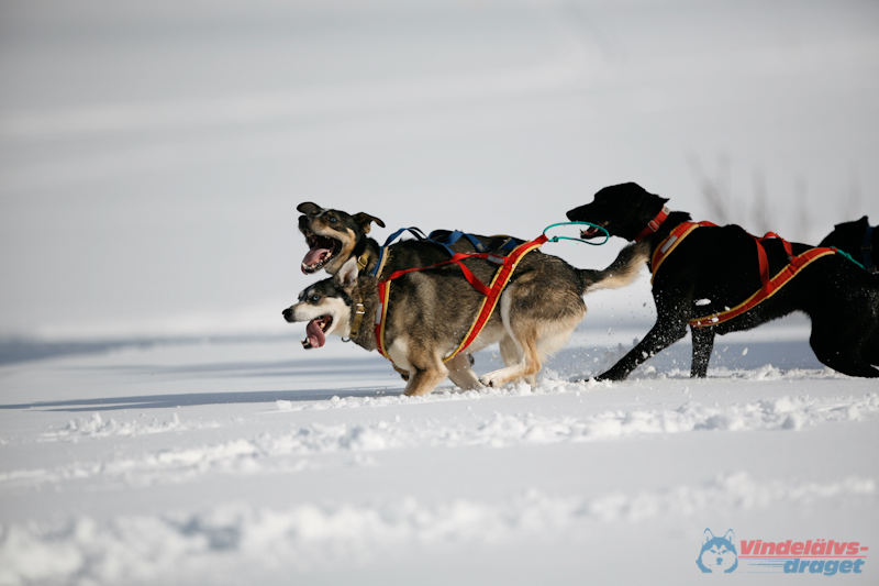 Joakim Blomkvist 2012-03-15_12-07-35.jpg
