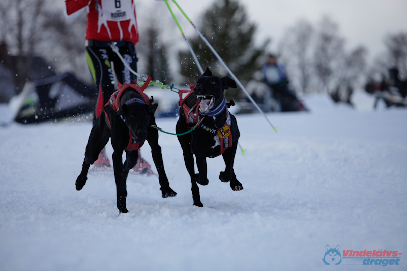 Joakim Blomkvist 2012-03-15_13-30-16.jpg