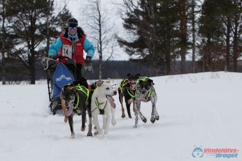 Joakim Blomkvist 2012-03-15_13-58-57.jpg