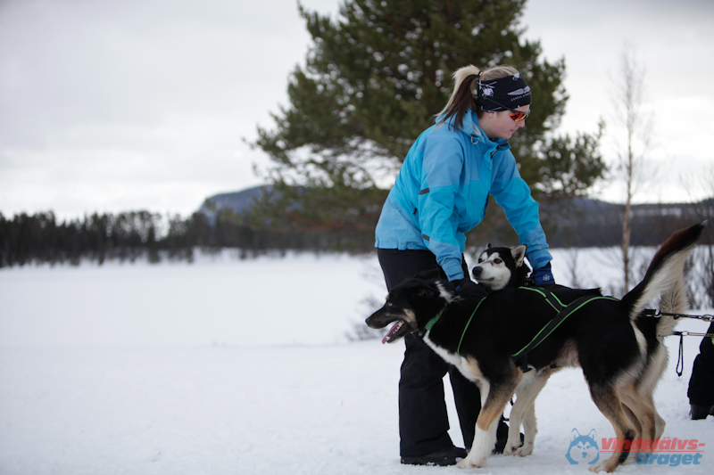 Joakim Blomkvist 2012-03-15_14-07-00.jpg
