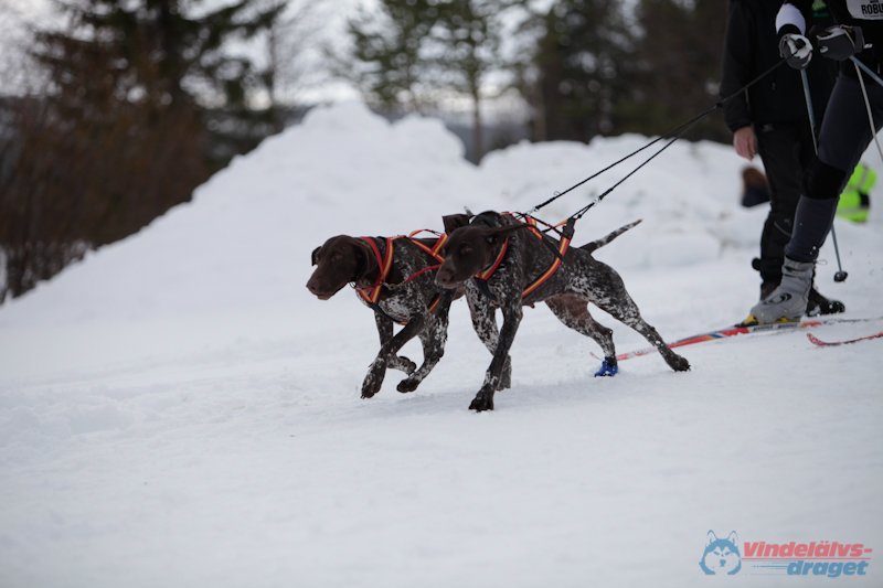 Joakim Blomkvist 2012-03-15_14-20-10.jpg