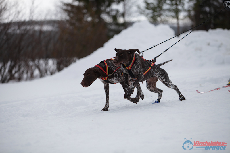 Joakim Blomkvist 2012-03-15_14-20-11.jpg