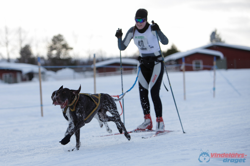 Joakim Blomkvist 2012-03-15_15-16-07.jpg