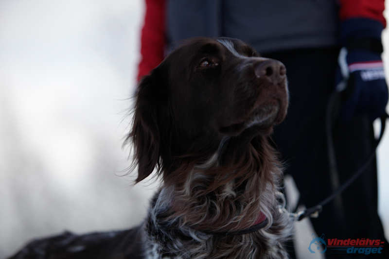 Joakim Blomkvist 2012-03-15_15-20-14.jpg