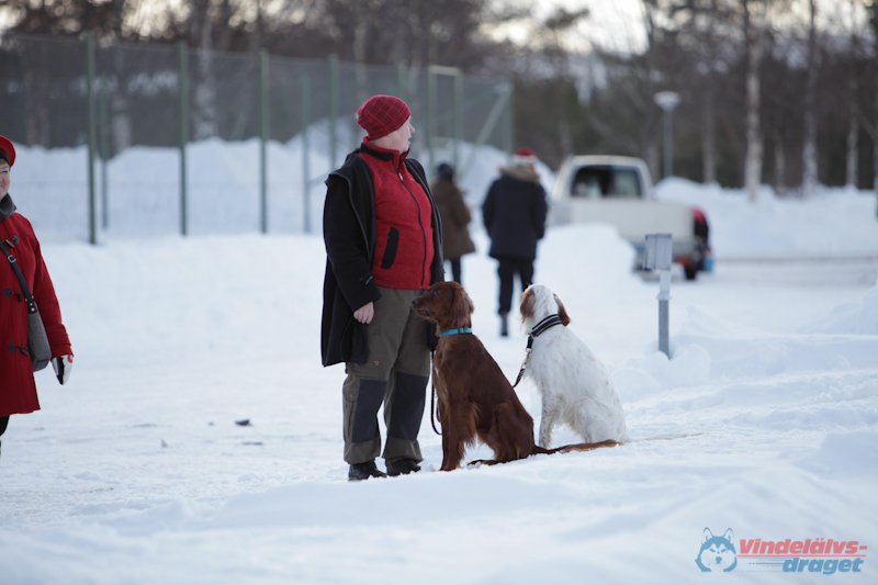 Joakim Blomkvist 2012-03-15_15-25-36.jpg