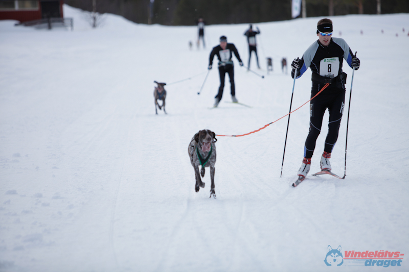 Joakim Blomkvist 2012-03-15_15-28-54.jpg