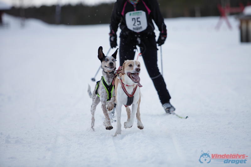 Joakim Blomkvist 2012-03-15_15-29-09.jpg