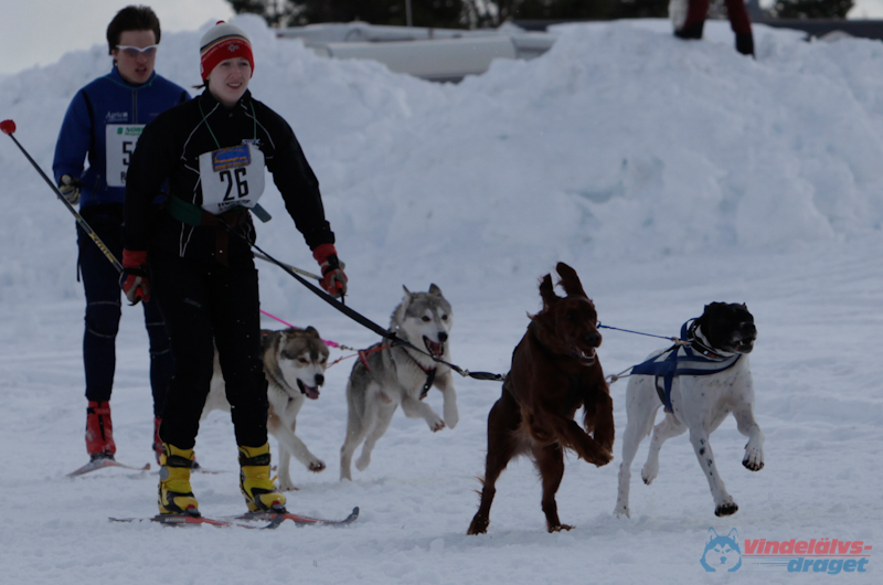 Joakim Blomkvist 2012-03-16_11-08-40.jpg