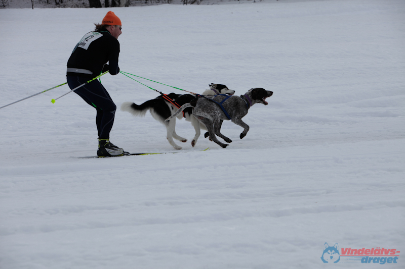 Joakim Blomkvist 2012-03-16_11-10-47.jpg