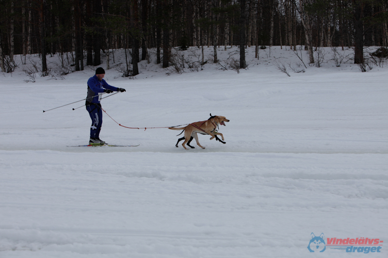 Joakim Blomkvist 2012-03-16_11-11-01.jpg