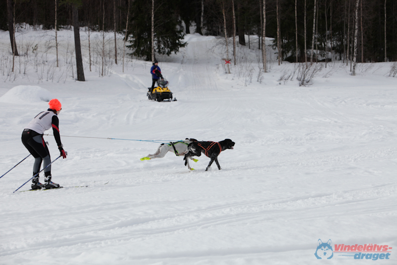 Joakim Blomkvist 2012-03-16_11-12-34.jpg