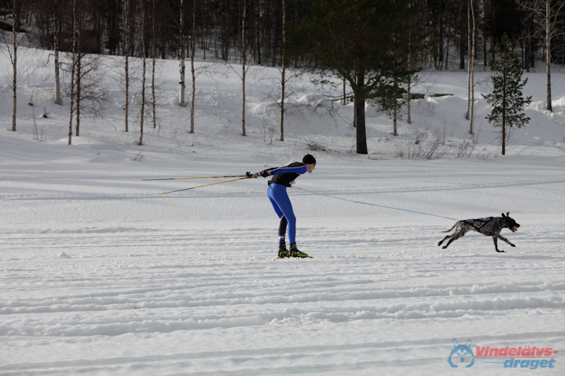 Joakim Blomkvist 2012-03-16_11-12-54.jpg