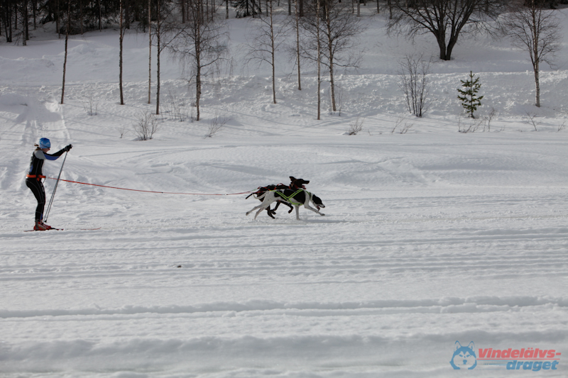 Joakim Blomkvist 2012-03-16_11-13-02.jpg