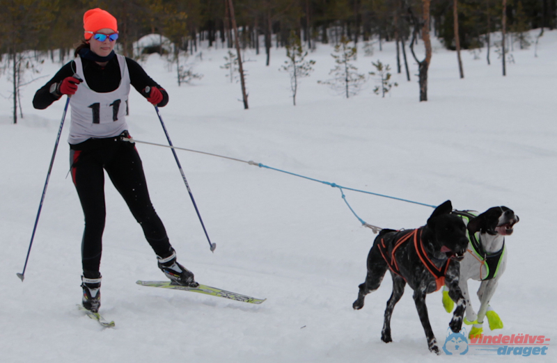 Joakim Blomkvist 2012-03-16_11-22-47.jpg