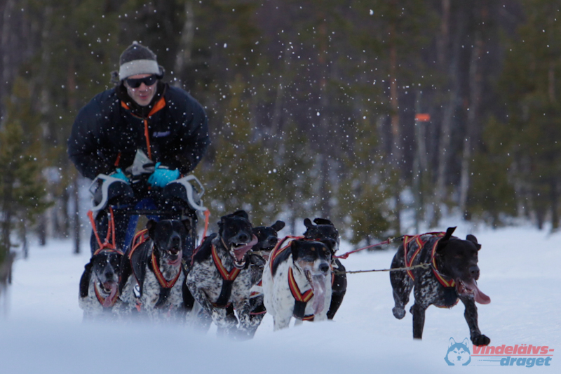 Joakim Blomkvist 2012-03-16_11-39-32.jpg