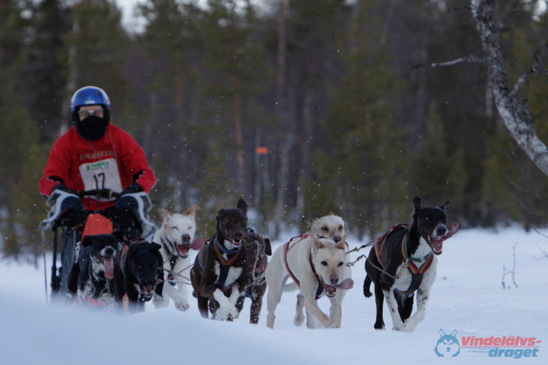 Joakim Blomkvist 2012-03-16_11-41-14.jpg
