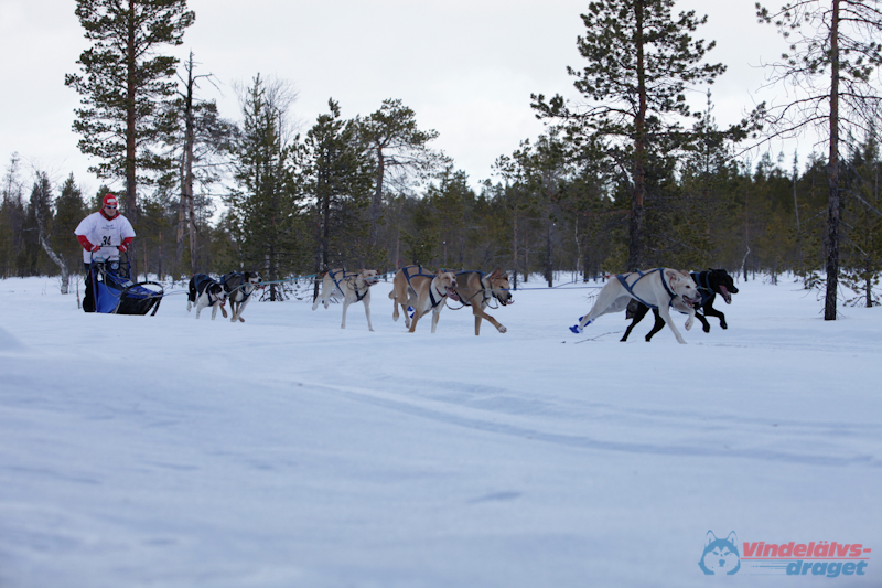 Joakim Blomkvist 2012-03-16_11-41-33.jpg