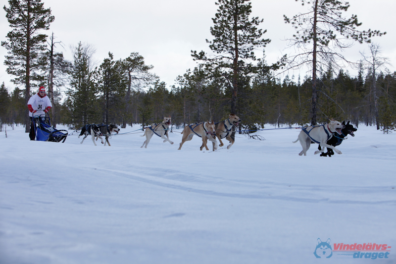 Joakim Blomkvist 2012-03-16_11-41-34.jpg