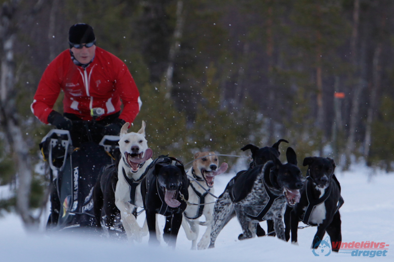 Joakim Blomkvist 2012-03-16_11-42-17.jpg