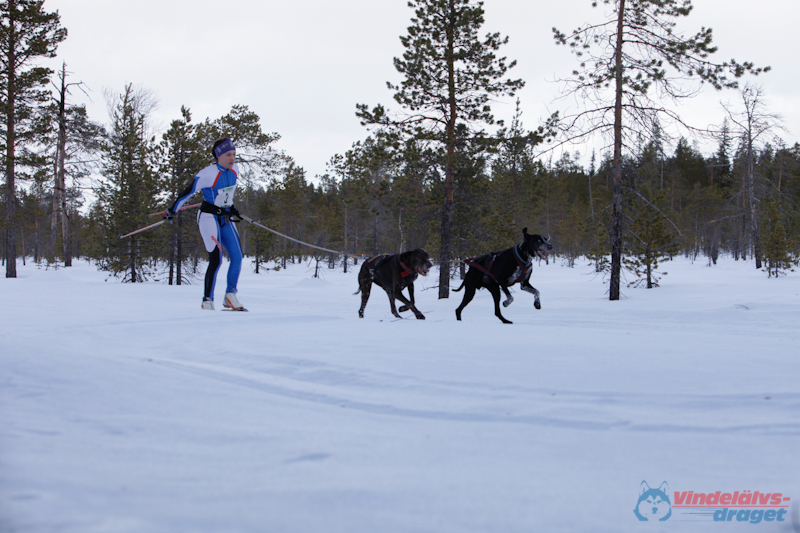 Joakim Blomkvist 2012-03-16_11-43-14.jpg