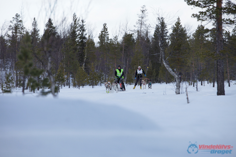 Joakim Blomkvist 2012-03-16_11-43-43.jpg
