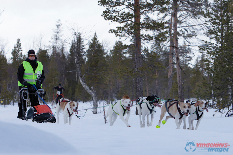 Joakim Blomkvist 2012-03-16_11-43-53.jpg