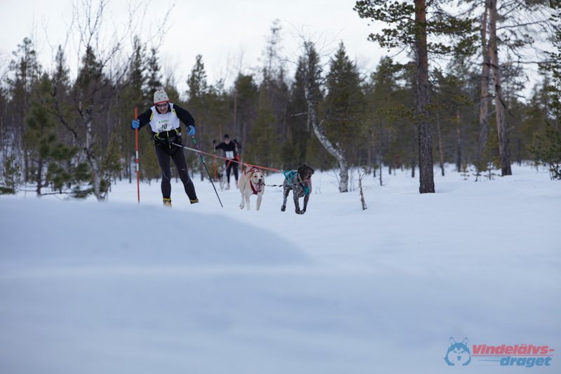Joakim Blomkvist 2012-03-16_11-43-55.jpg