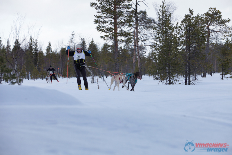 Joakim Blomkvist 2012-03-16_11-43-56.jpg