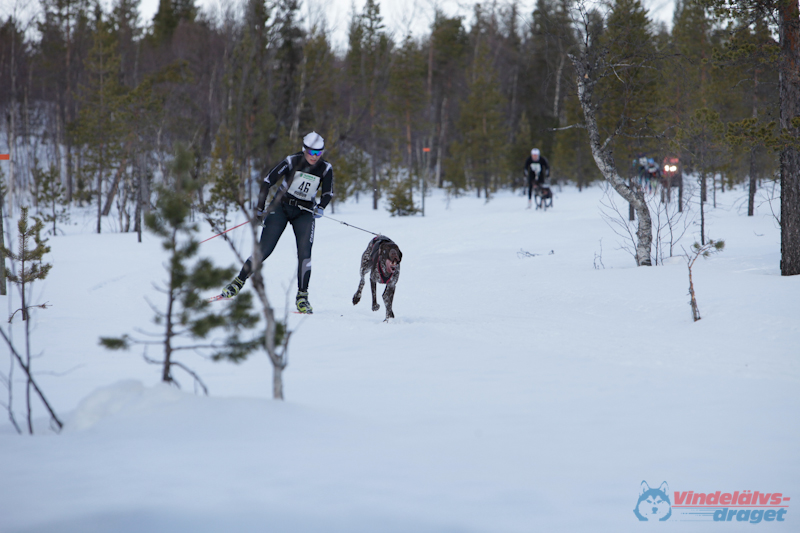 Joakim Blomkvist 2012-03-16_11-44-42.jpg