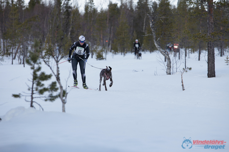 Joakim Blomkvist 2012-03-16_11-44-43.jpg