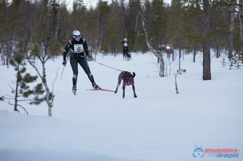 Joakim Blomkvist 2012-03-16_11-44-44.jpg