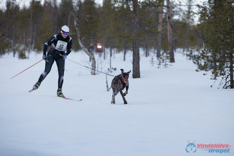 Joakim Blomkvist 2012-03-16_11-44-45.jpg