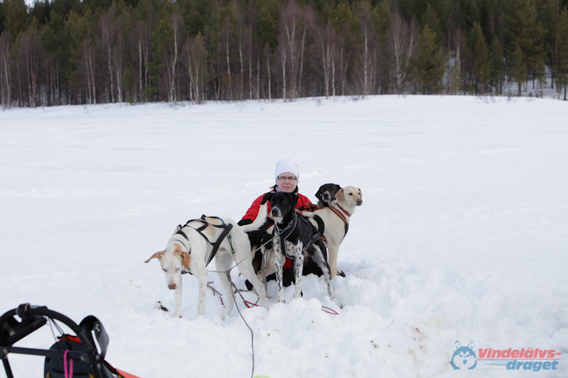 Joakim Blomkvist 2012-03-16_12-03-09.jpg