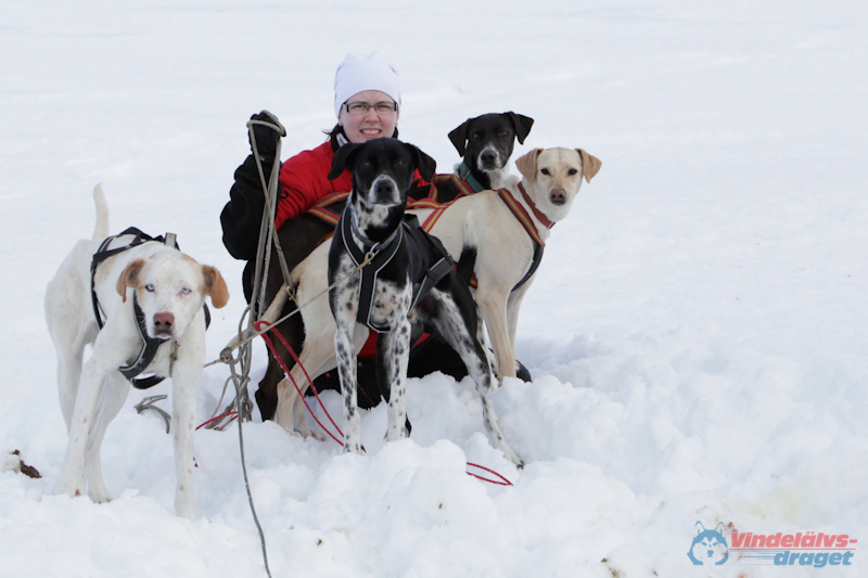 Joakim Blomkvist 2012-03-16_12-03-11.jpg