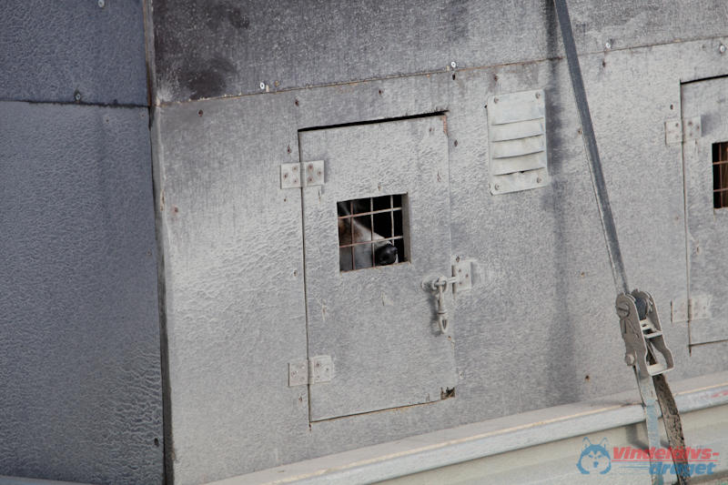 Joakim Blomkvist 2012-03-16_12-07-25.jpg