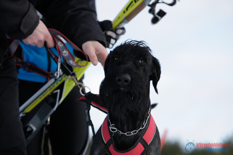 Joakim Blomkvist 2012-03-16_12-09-29.jpg