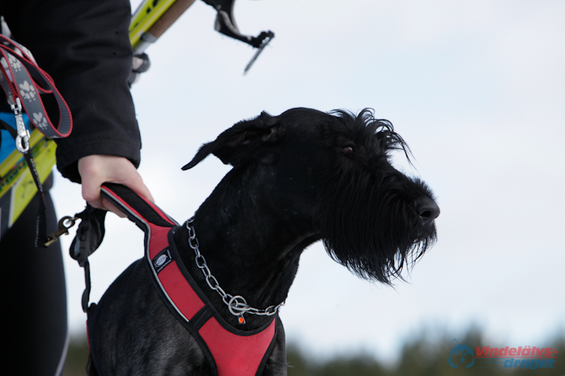 Joakim Blomkvist 2012-03-16_12-09-30.jpg