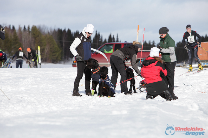 Joakim Blomkvist 2012-03-16_12-11-22.jpg