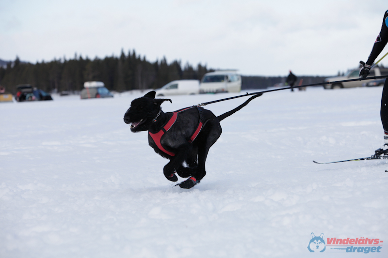 Joakim Blomkvist 2012-03-16_12-12-56.jpg