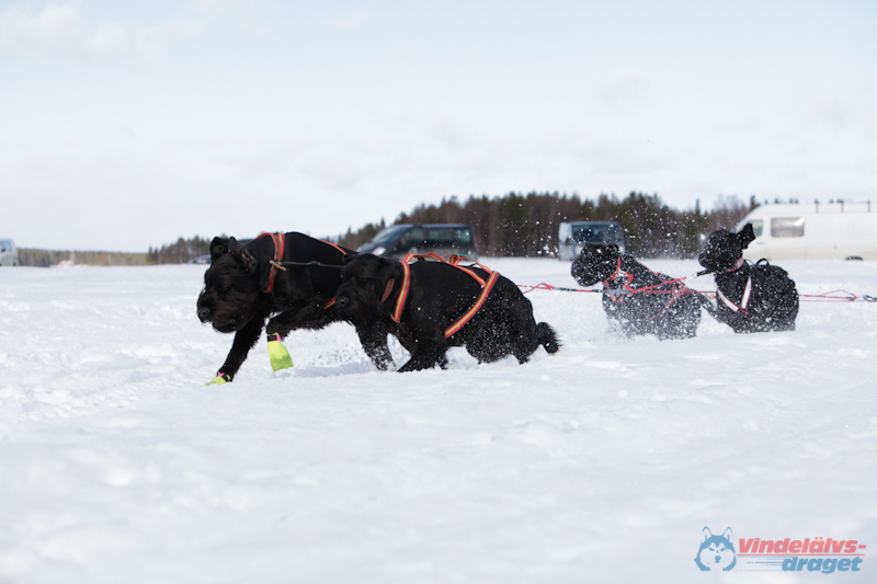 Joakim Blomkvist 2012-03-16_12-16-11.jpg