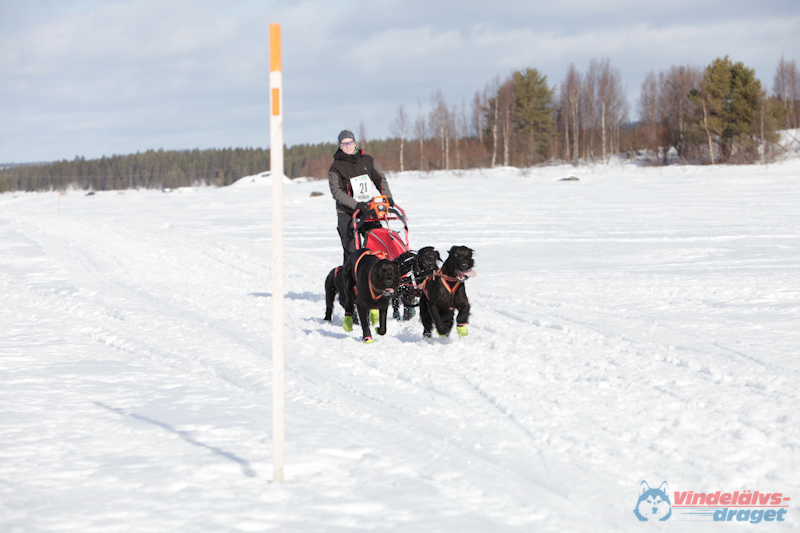 Joakim Blomkvist 2012-03-16_12-18-52.jpg